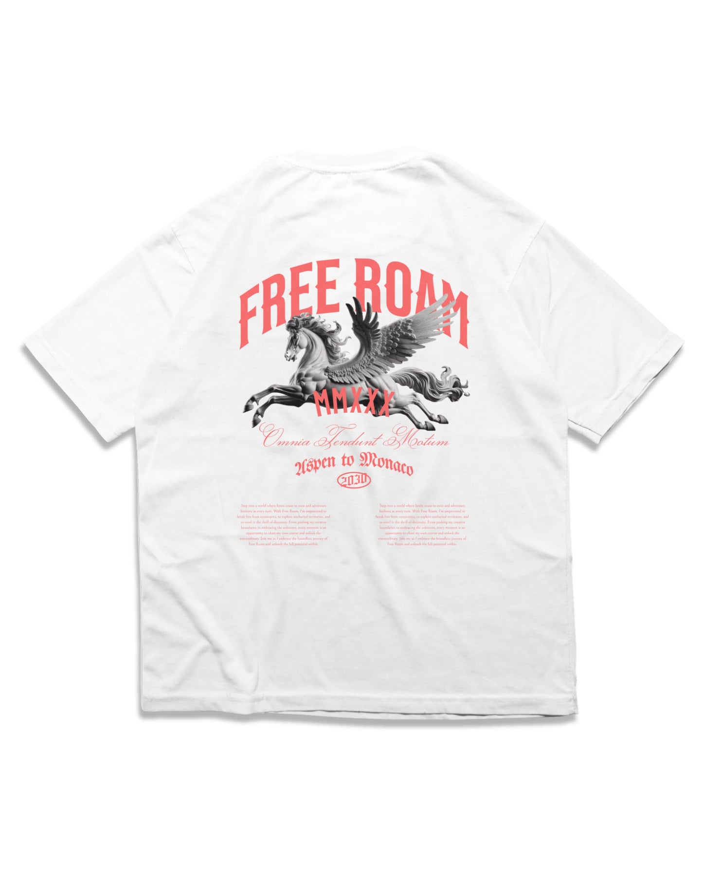 FREE ROAM T SHIRT